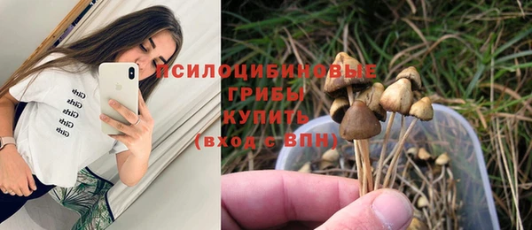ПСИЛОЦИБИНОВЫЕ ГРИБЫ Армянск
