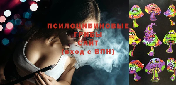 ПСИЛОЦИБИНОВЫЕ ГРИБЫ Армянск