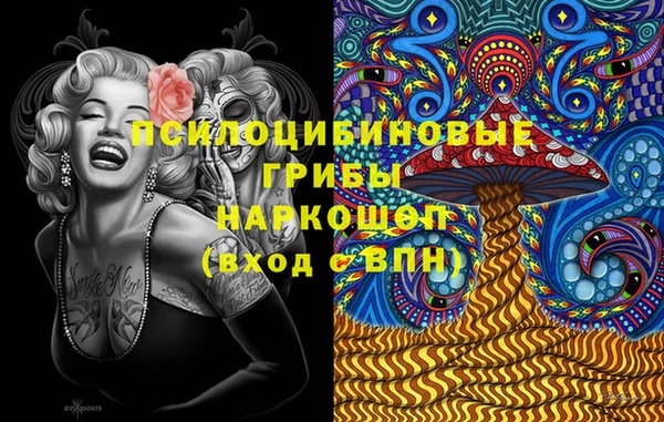 твердый Аркадак