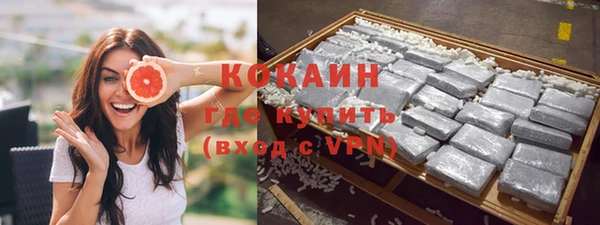 твердый Аркадак