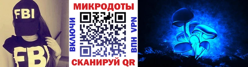 даркнет состав  Баймак  Псилоцибиновые грибы Psilocybine cubensis  наркотики  мега зеркало 